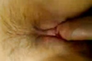 Malayo awek barú kenal ver video porno succión
