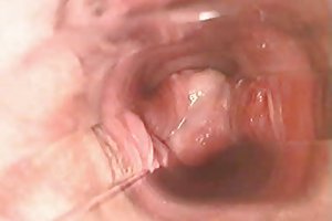 En el interior de la vagina durante el orgasmo l7 porno han criado en línea