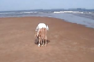 Bonito bush rusa videos de porno abuela