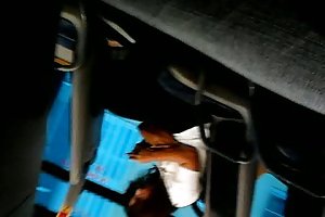 Flash bus - a ella le gusta 2 porno sexo fotos videos
