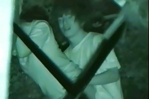 La medianoche del sexo al aire libre en el parque de la ciudad actrices porno