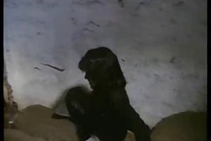 El sexo de la comedia de la vendimia alemán en la película de lass jucken kumpel 2 el mejor porno de maduras